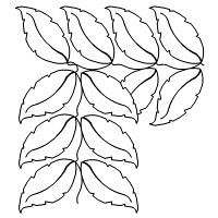 sunflower leaf brd crn001